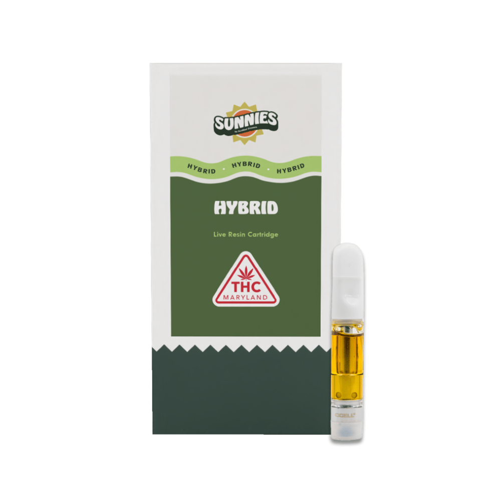 Apple Fritter by SunMed Labs