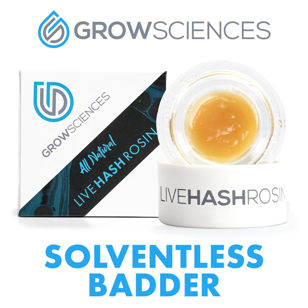 Banana Cream Cake x Jealousy by Grow Sciences