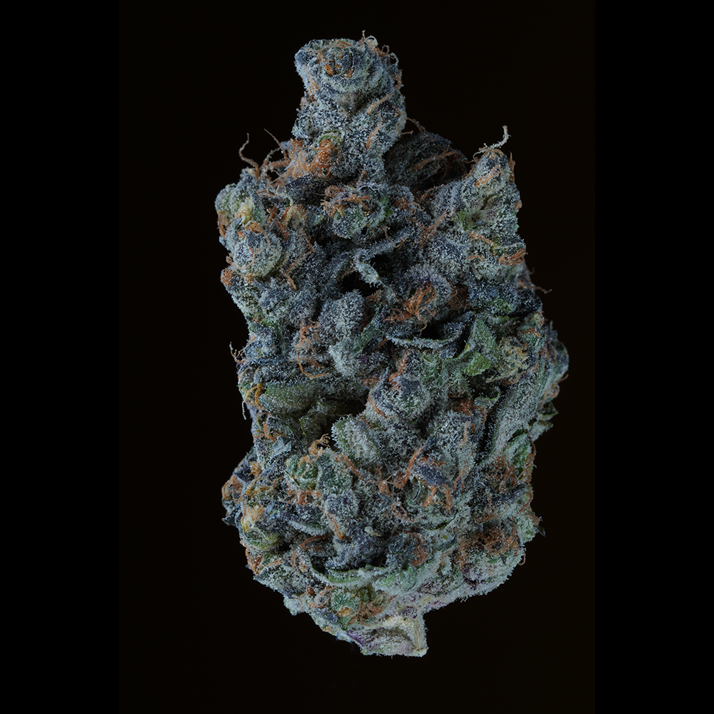 Apple Fritter by K-Savage