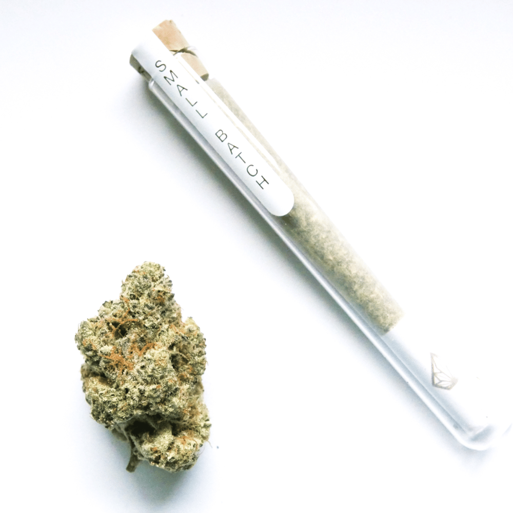 91 GMO [1g] by Northern Emeralds
