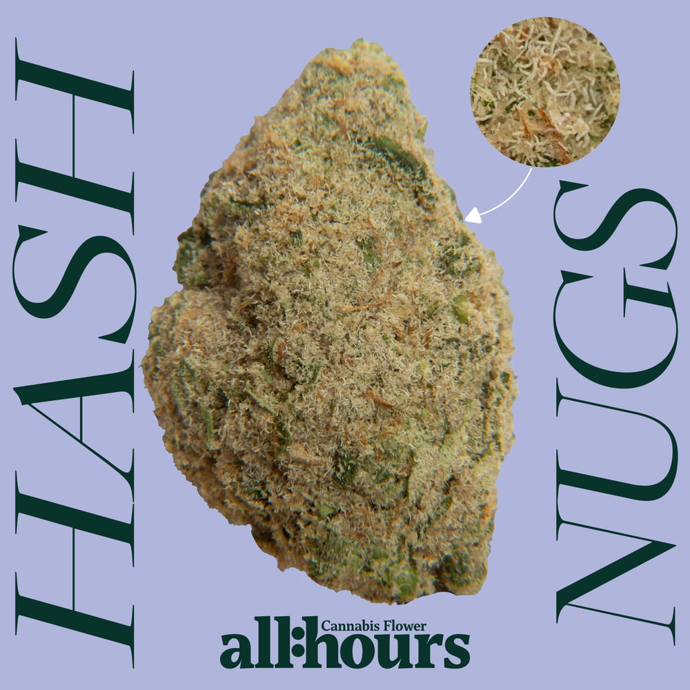 all:hours Hash Burger Hash Nugs 41630 by all:hours