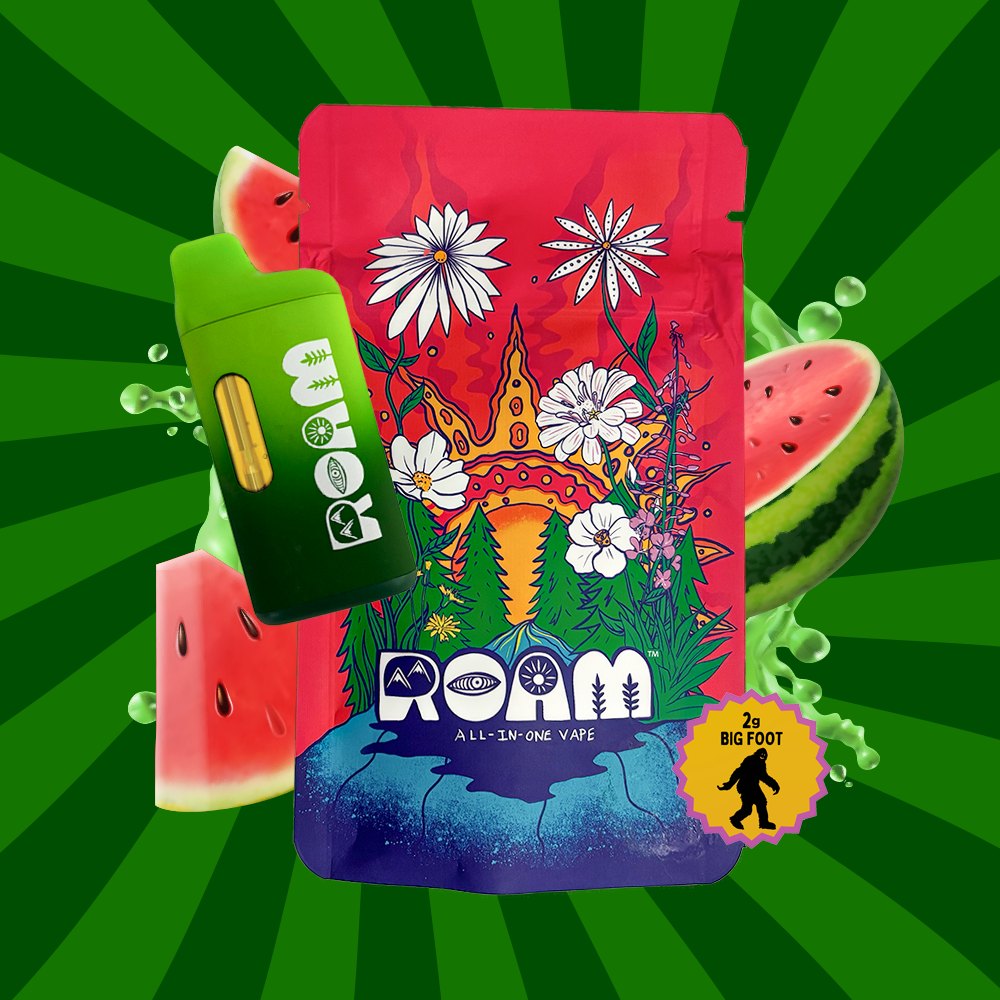 Watermelon Zlushie 2g by ROAM
