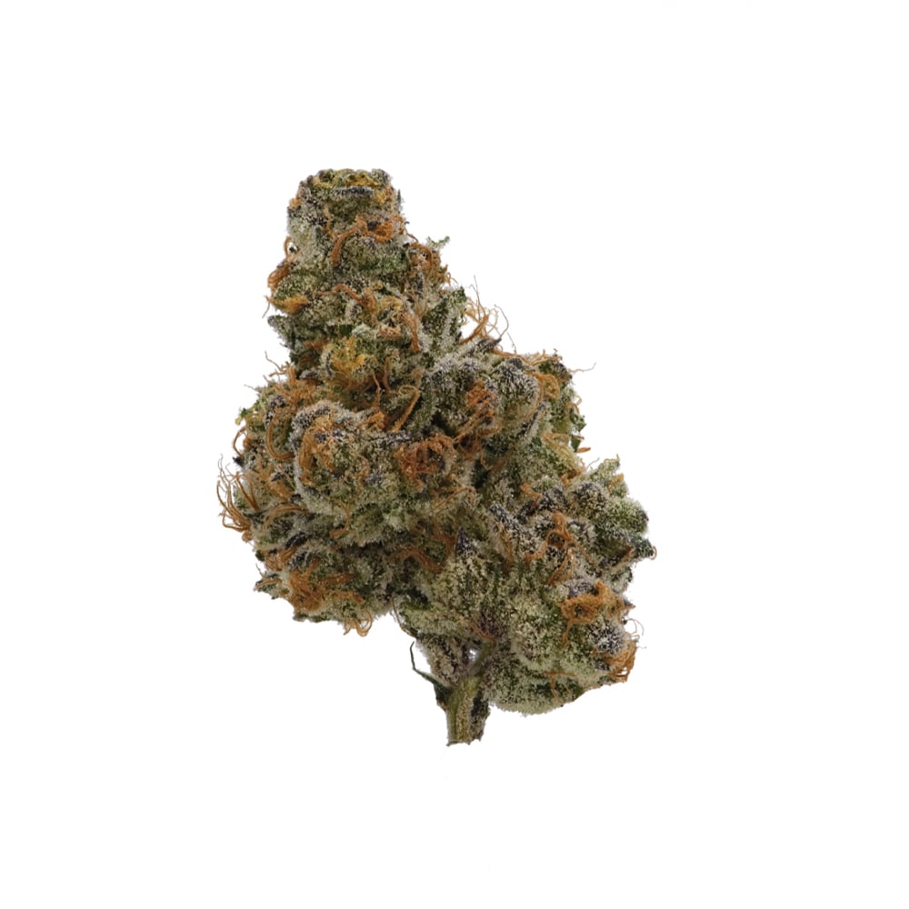 Apple Fritter by Knack