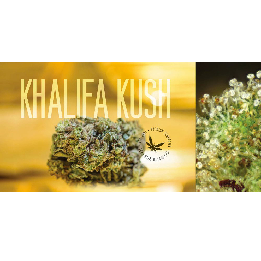 Kalifa Kush by Grasshopper Farms