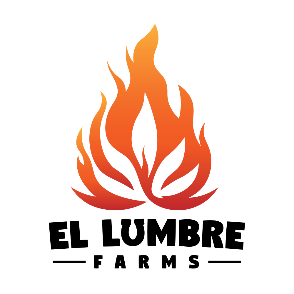 Kamikaze by El Lumbre Farms