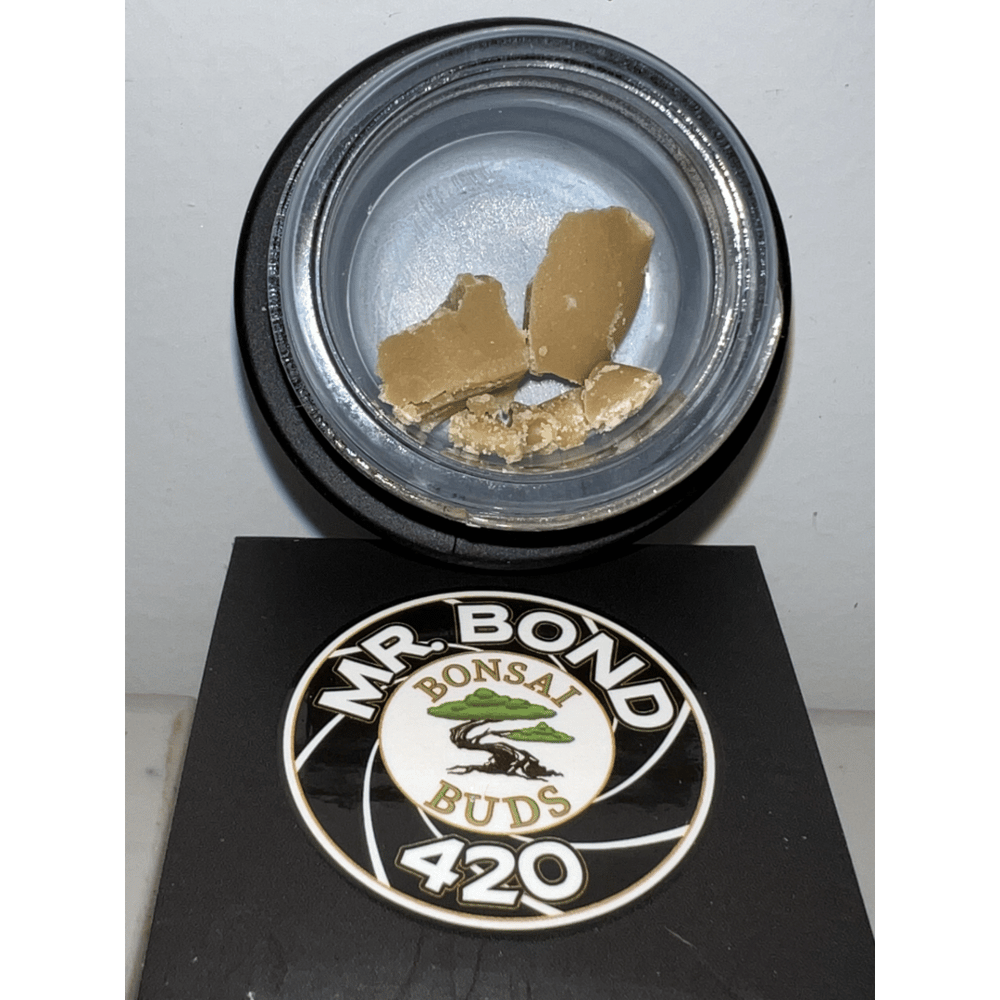 Daisy Life by Bonsai Buds