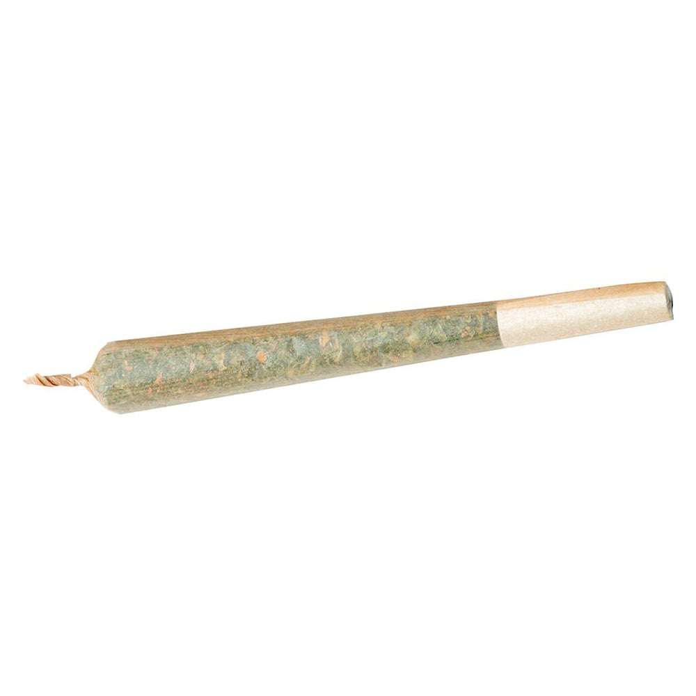 Queen SanG [1g] by Reef Organic