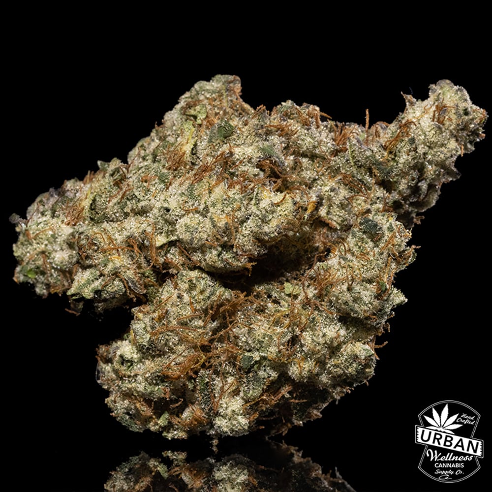 24K Gold by Urban Wellness