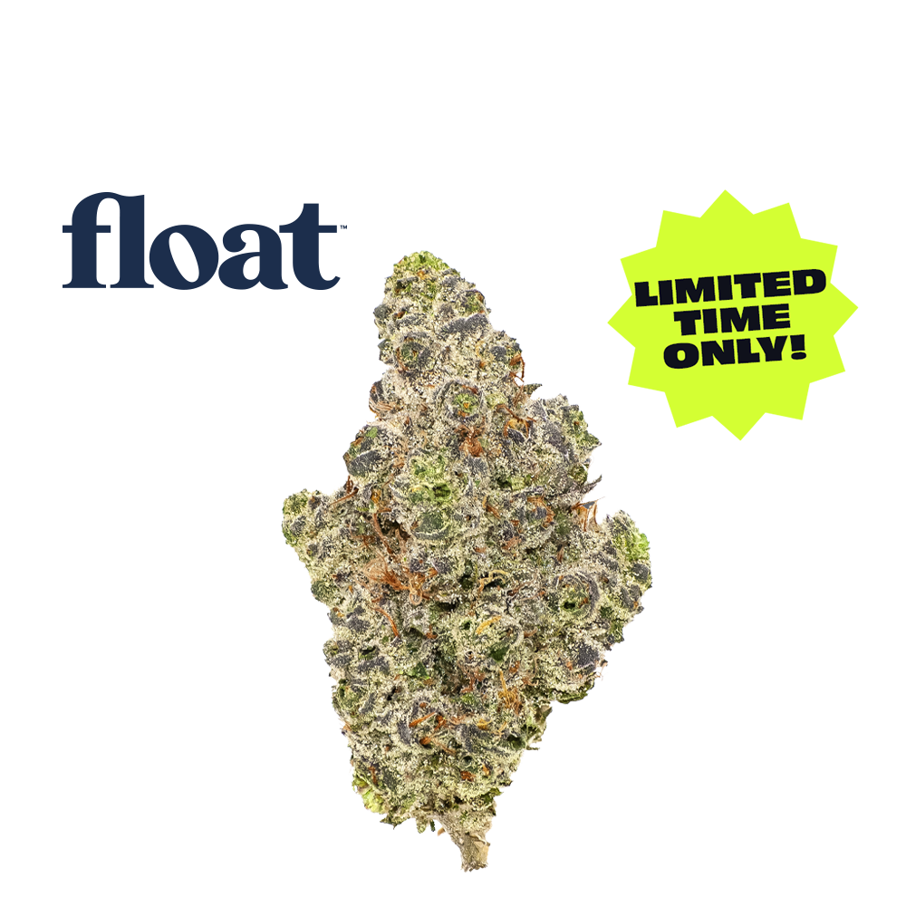 Quesojito by Float