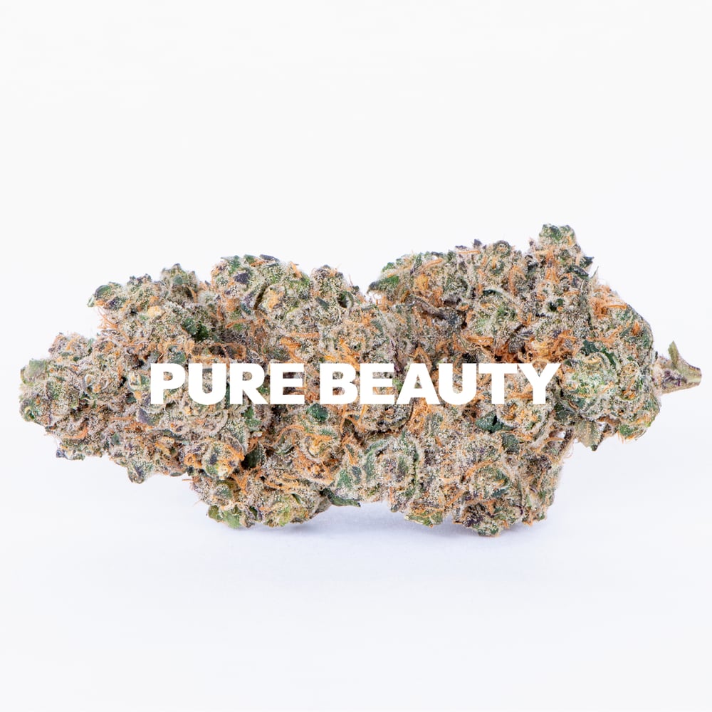 GSD (2:1) THCV by Pure Beauty in United States