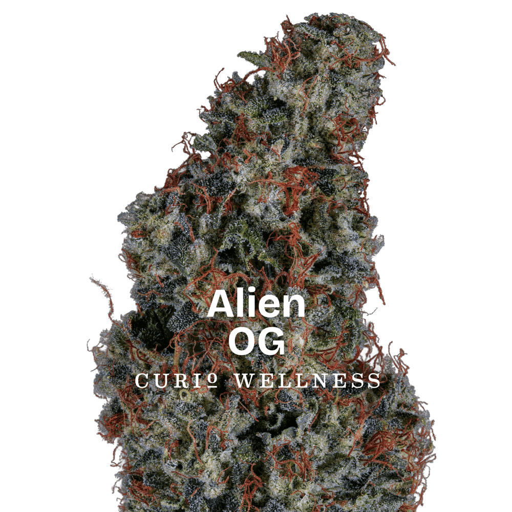Alien OG | Flower by Curio Wellness