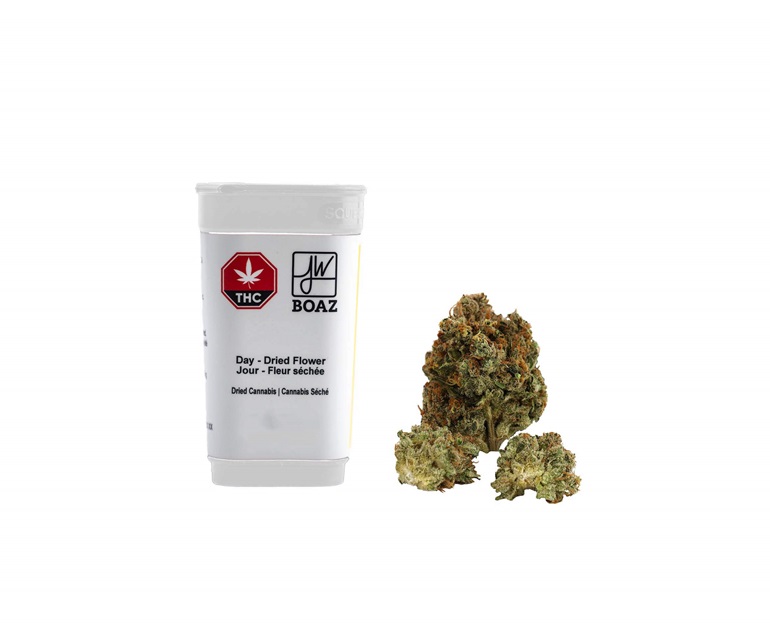 Daytime (Pink Apple Punch) by Boaz x Jane West