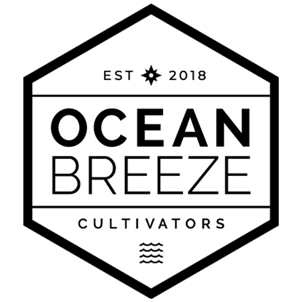 Dark Chocolate Peanut Butter Cheesecake [20pk] (100mg) by Ocean Breeze