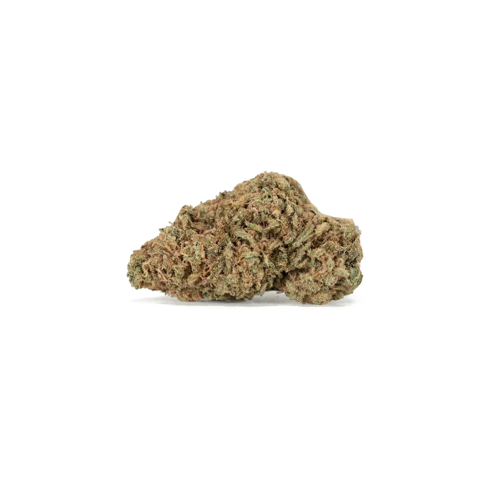 Money Maker by Wildfire Cultivation