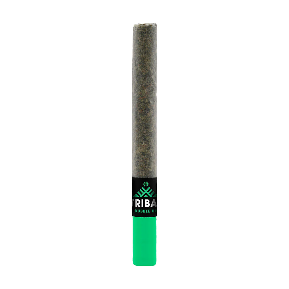 Bubble Up [1g] by Tribal
