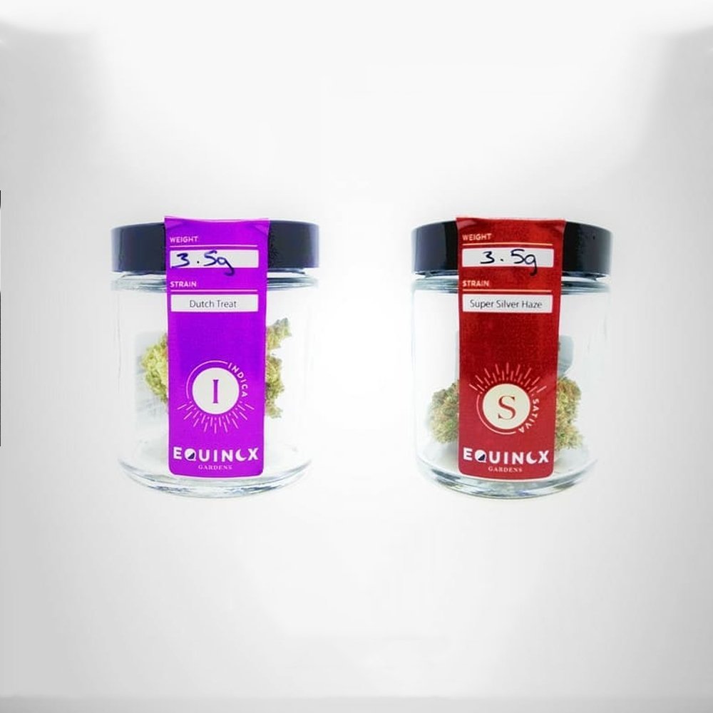White Gummies by Equinox Gardens