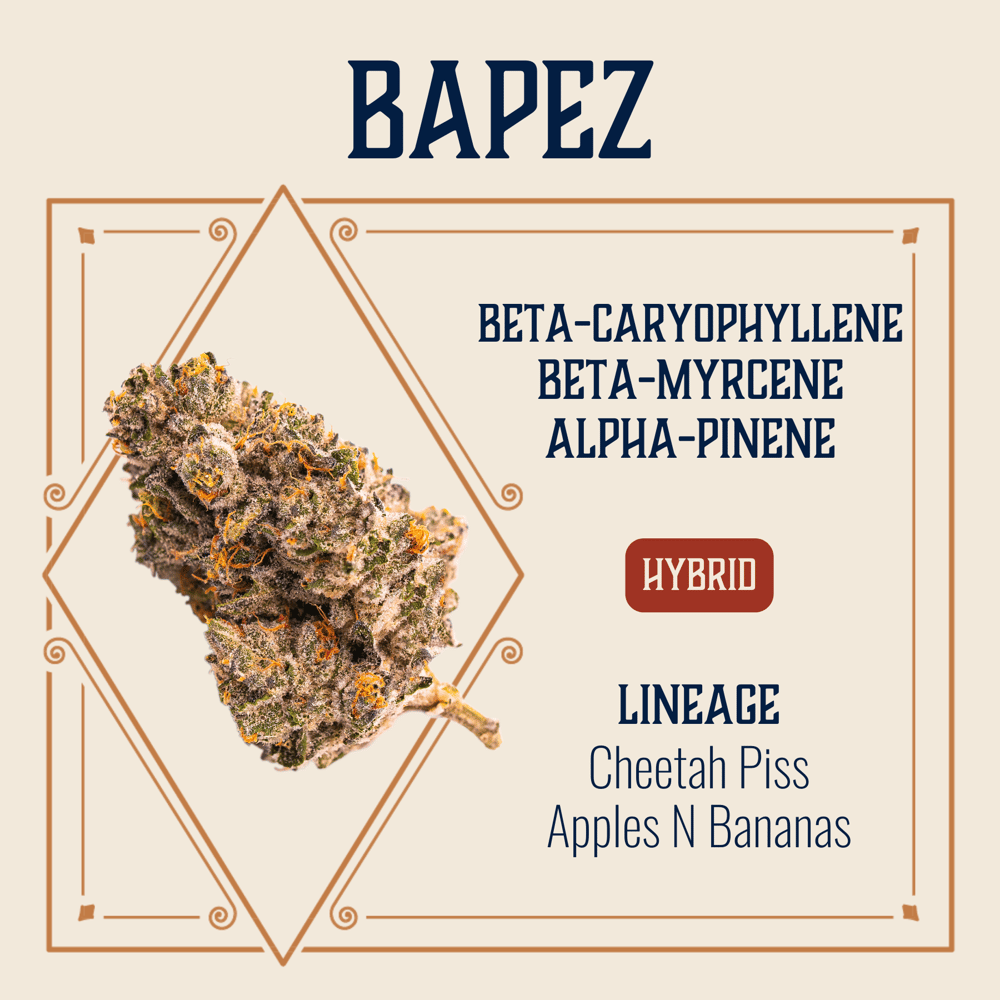 Bapez by Elevate
