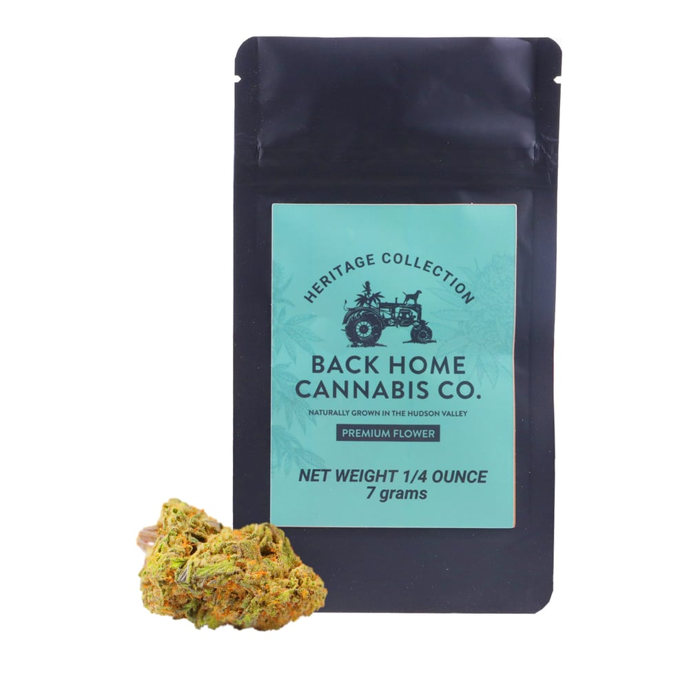 Jack Herer by Back Home Cannabis Co.