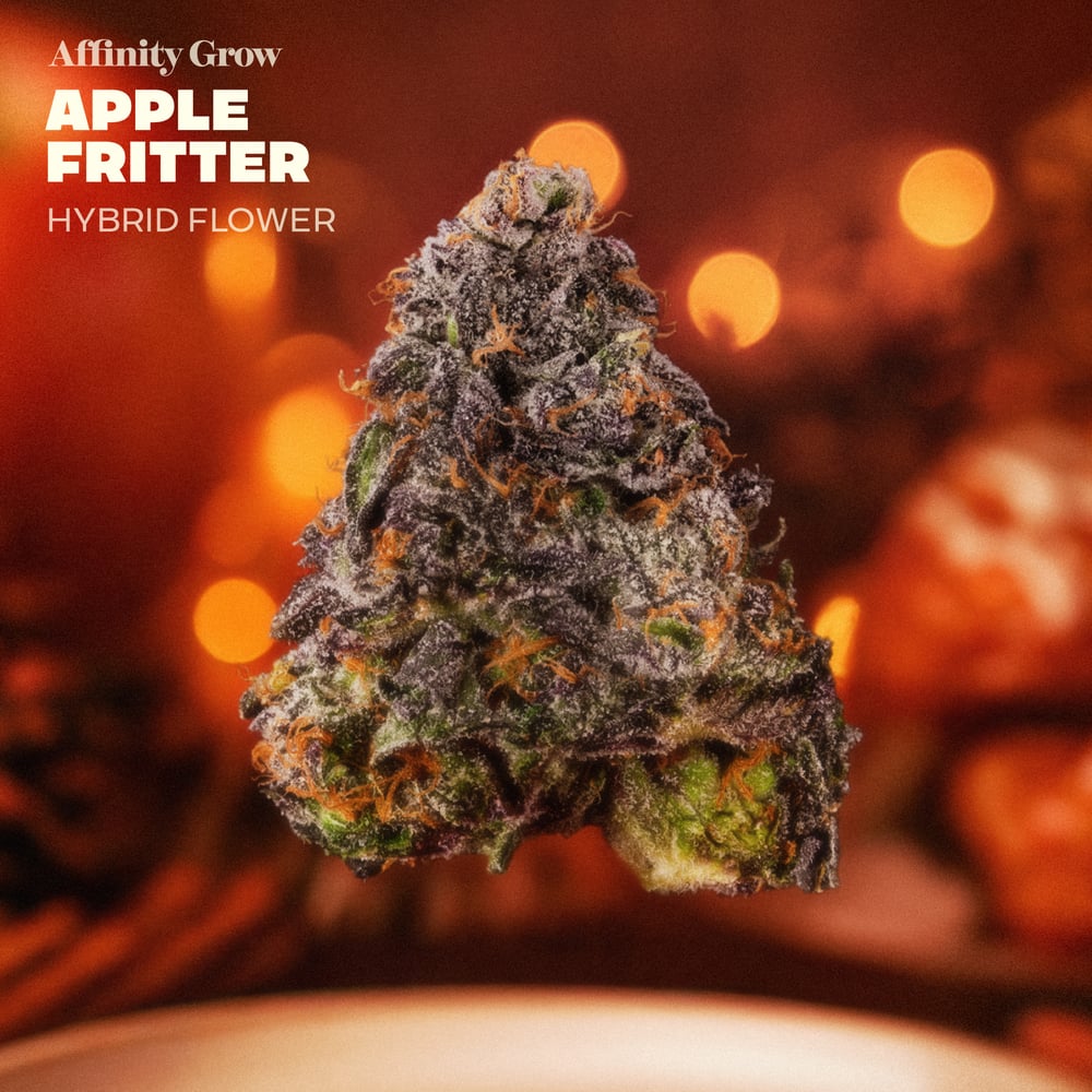 Apple Fritter Flower T23.93% H 00912 by Affinity Grow