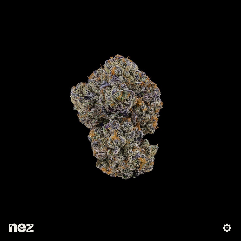 Mac Stomper by NEZ