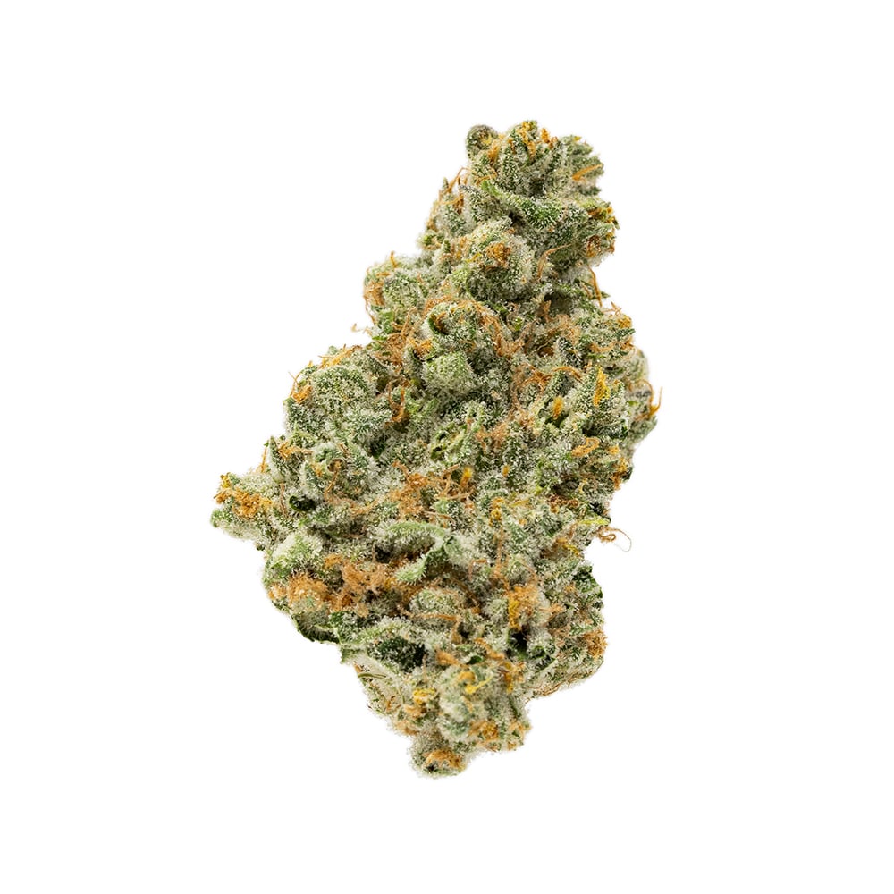 Orange Biscotti #3 by The Woods Reserve