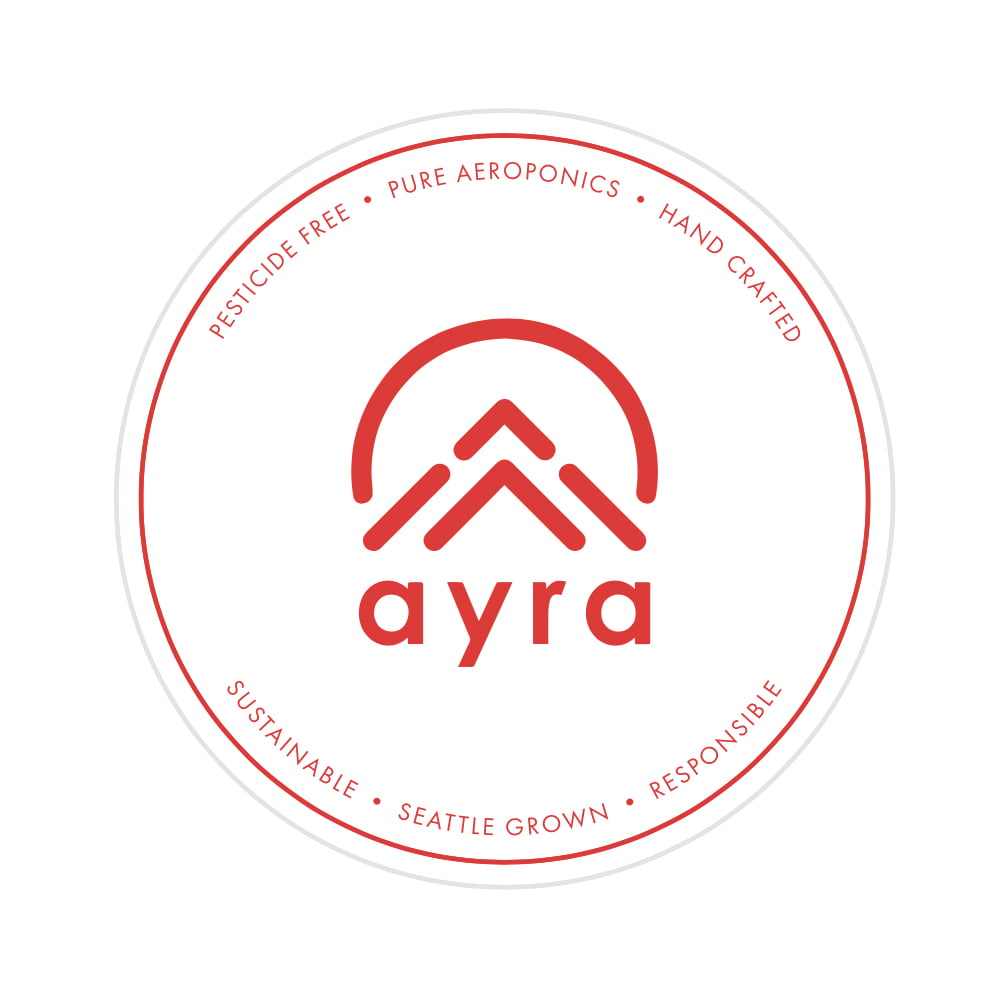 Apple Fritter #2 by Ayra