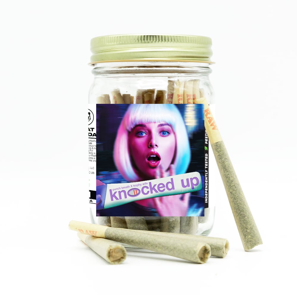 Knocked Up [1g] by Phat Panda
