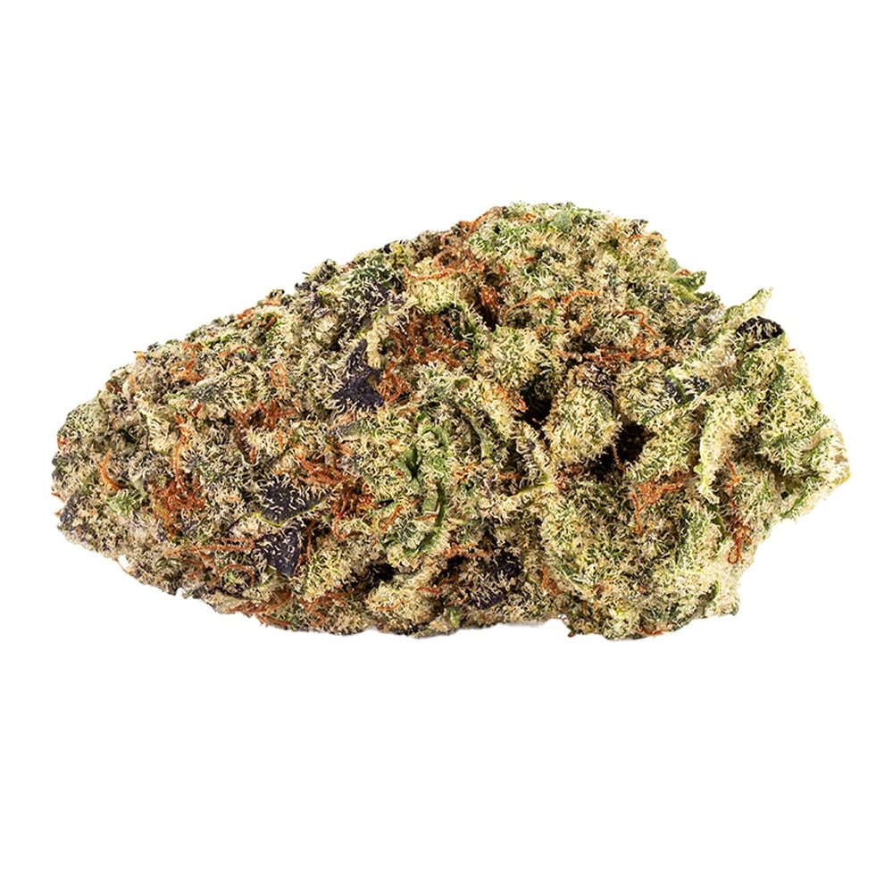 Queen SanG by Reef Organic