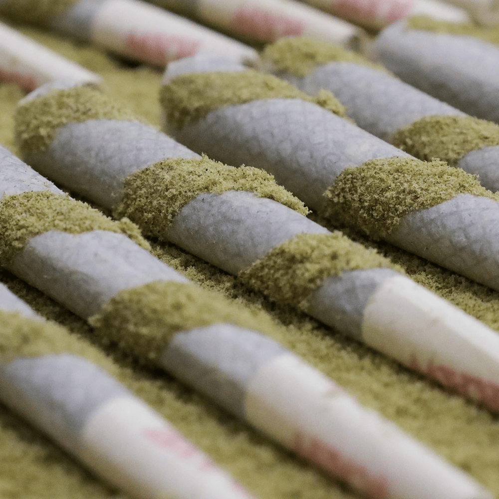 Cream Cookiez [1.25g] by Prohibition 37
