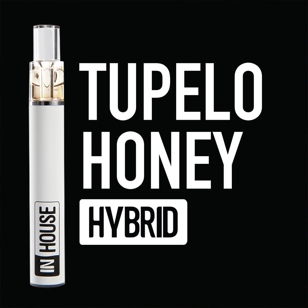 Tupelo Honey [2000mg] by InHouse