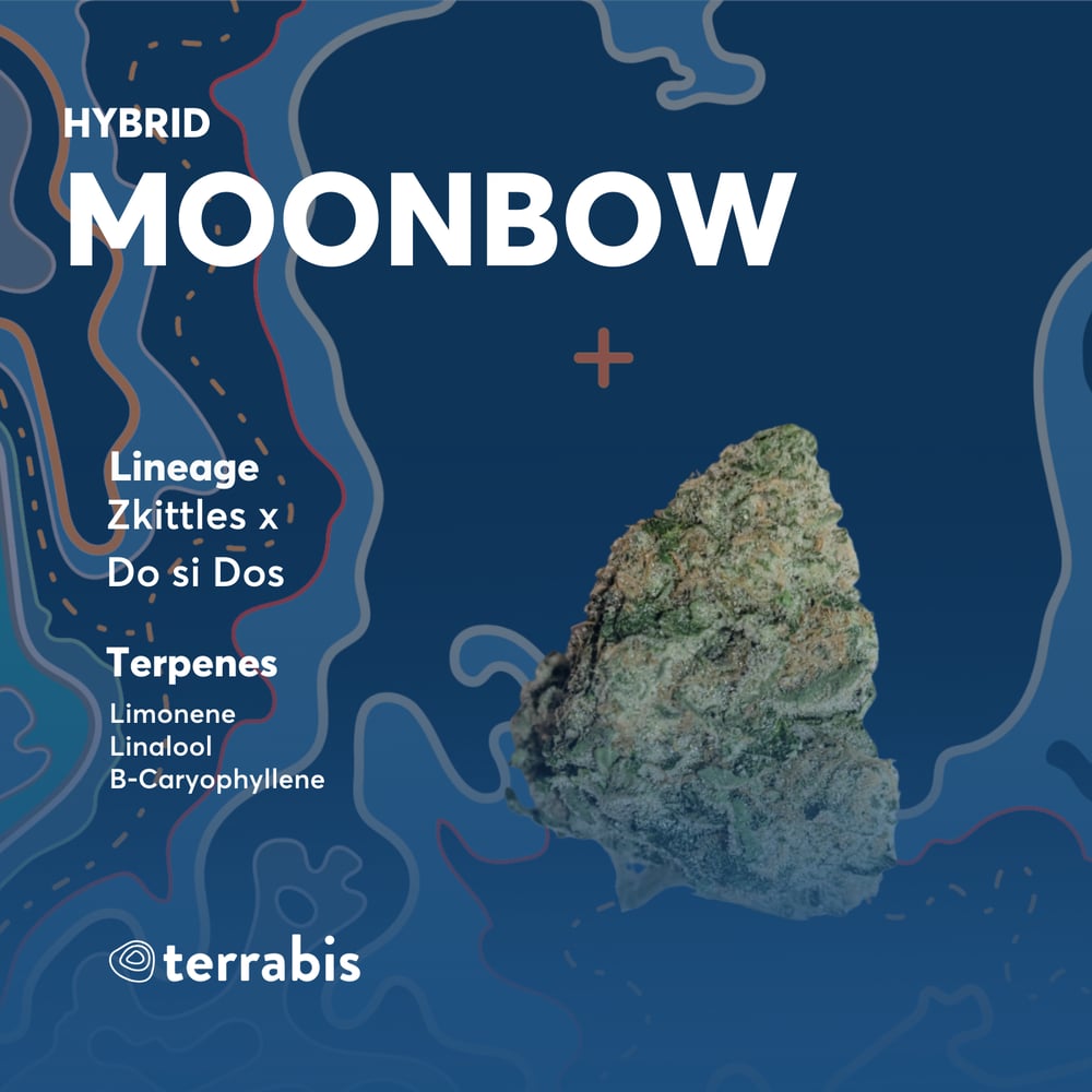 Moonbow by Terrabis