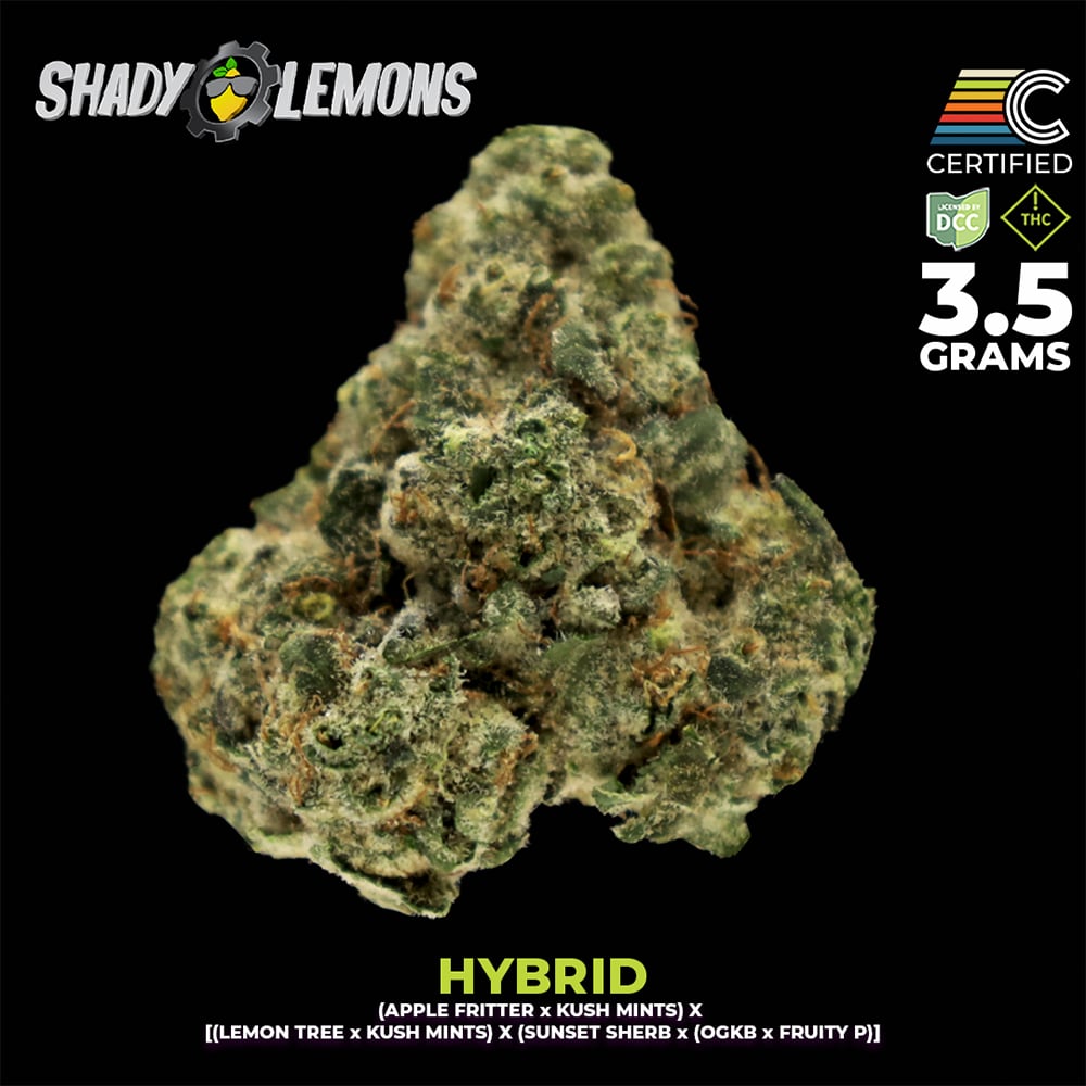 Shady Lemons by CERTIFIED