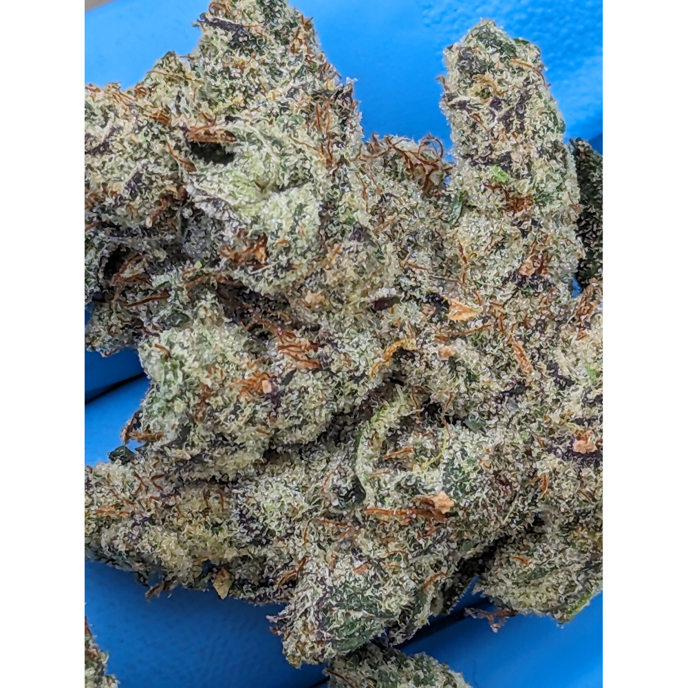 Danky Kong by The Legendary Leaf