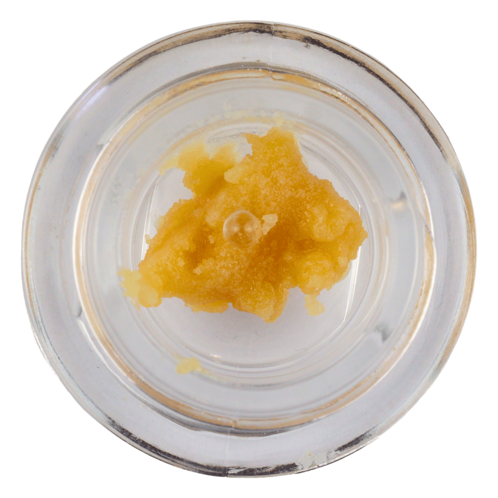 Baklava x Applescotti by Kali Gold