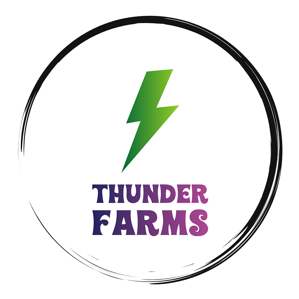 25 Eyes by Thunder Farms
