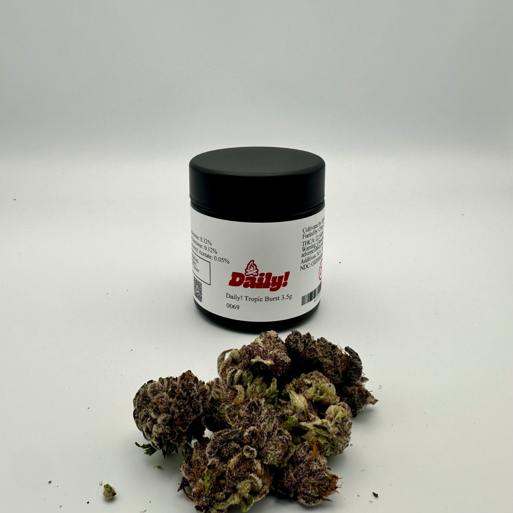 Daily! Tropic Burst 3.5g 0069 by Daily!