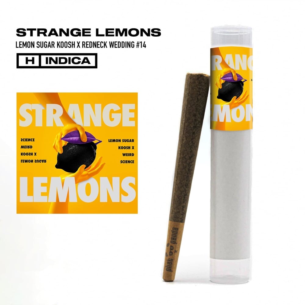 Strange Lemons [1g] by Phat Panda