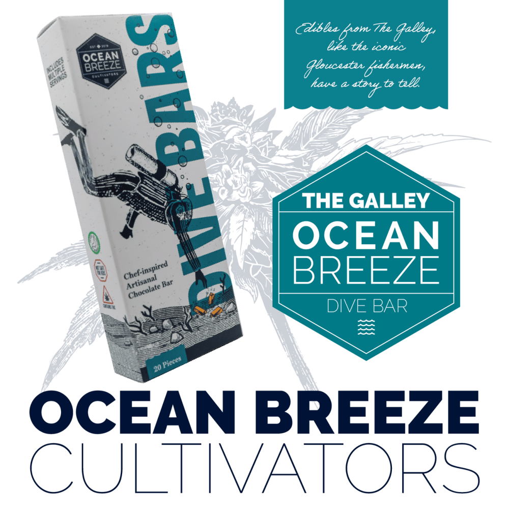 Dark Chocolate (81.2mg) by Ocean Breeze