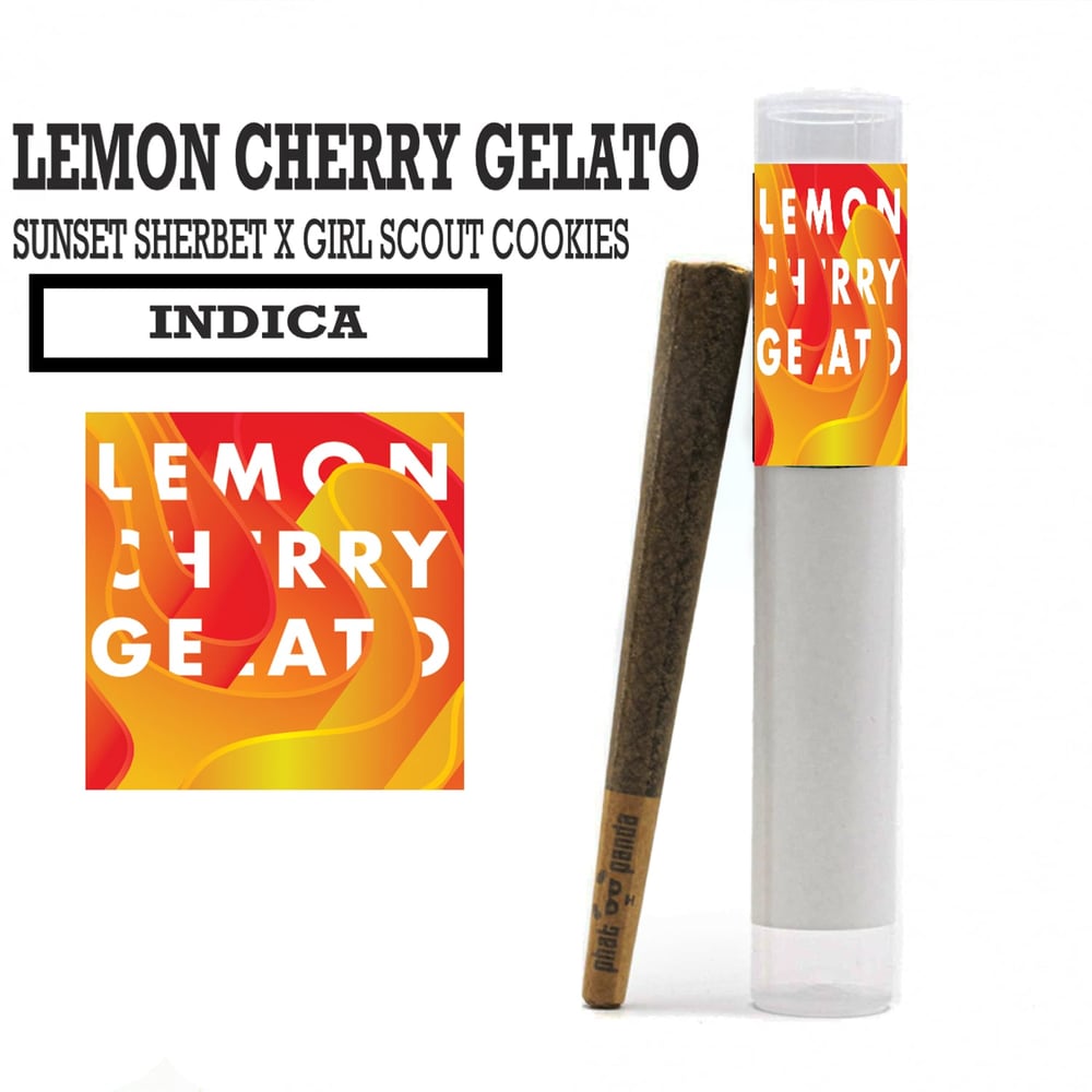 Lemon Cherry Gelato [1g] by Phat Panda