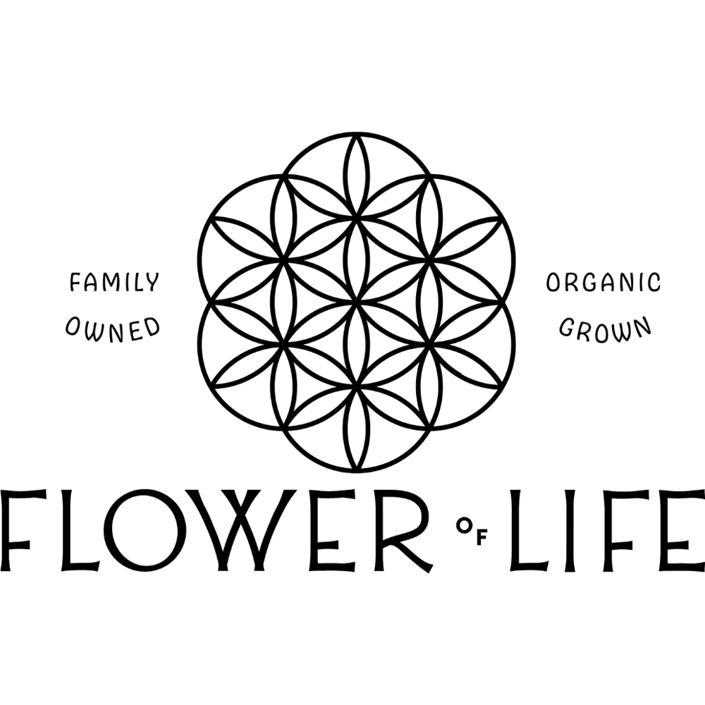 Qrazy Train by Flower of Life
