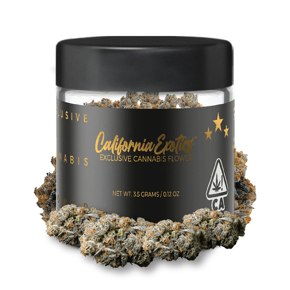 Killer Queen by Cali Exotics