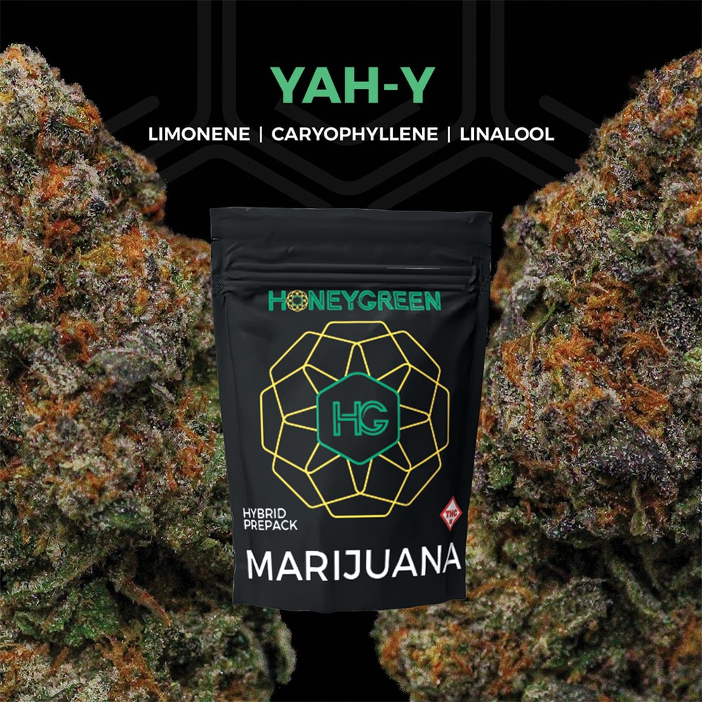 Yah-Y by Honey Green