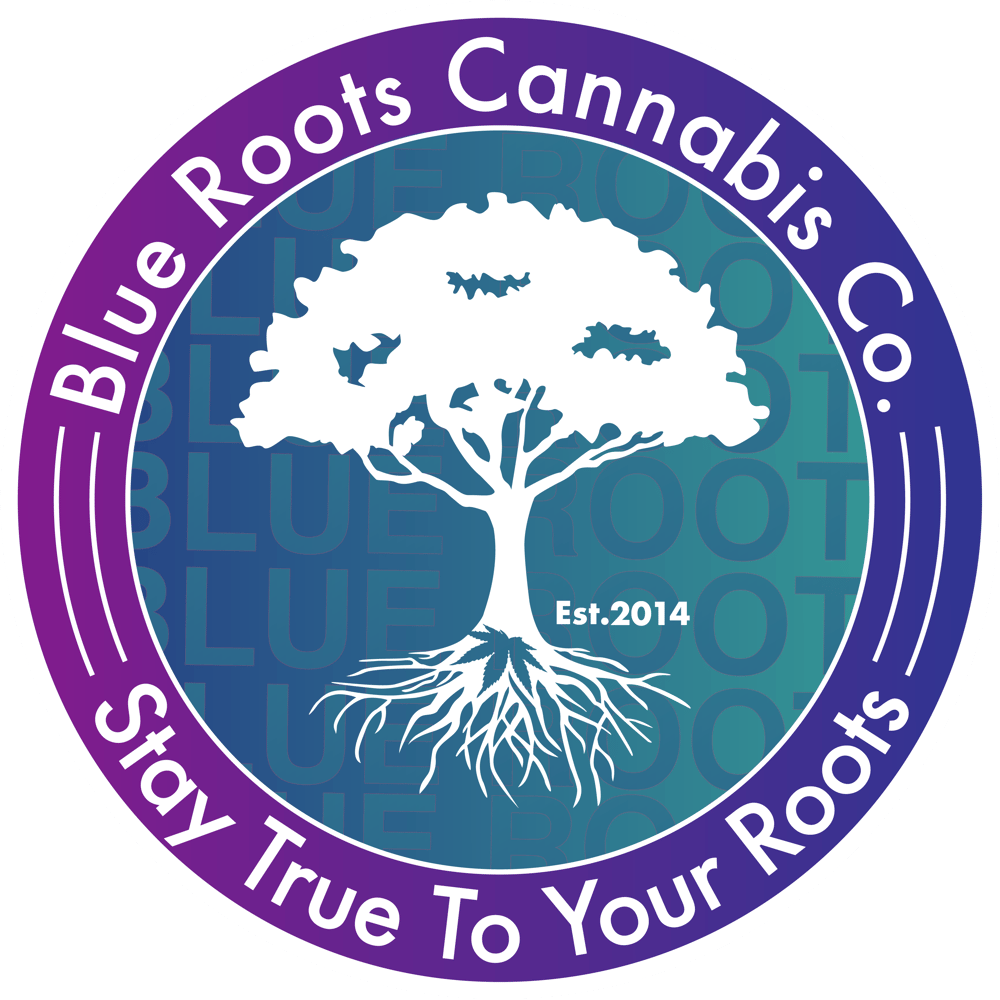 UK Cheese by Blue Roots Cannabis Co.