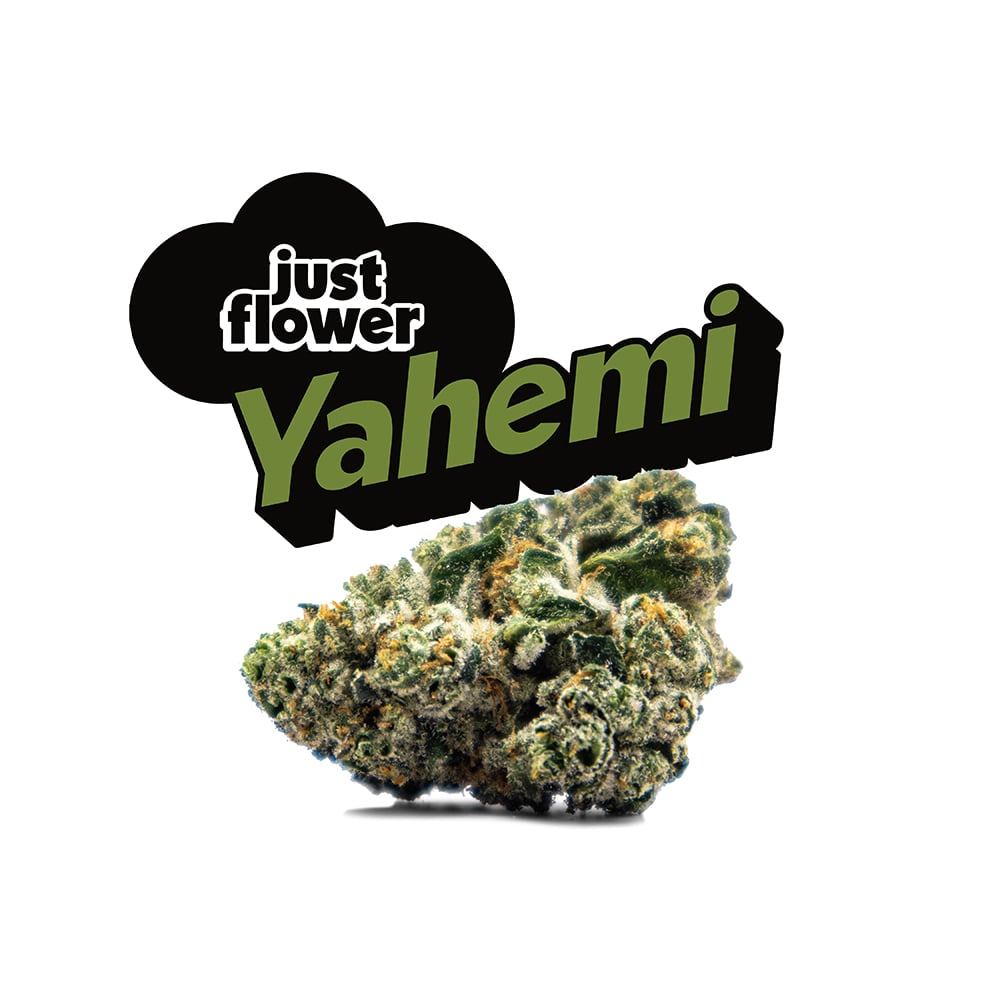 Yahemi [15g] by Just Flower