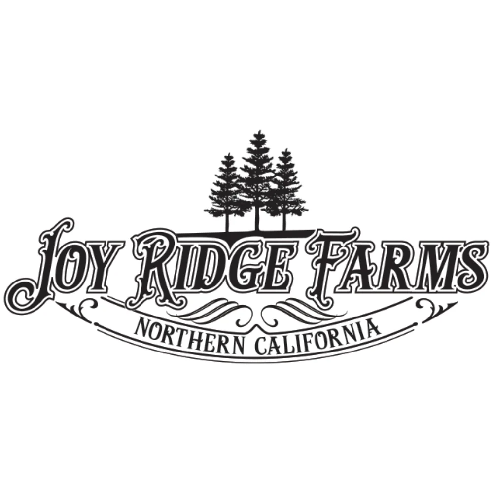 Key Lime Jack [.5g] by Joy Ridge Farms