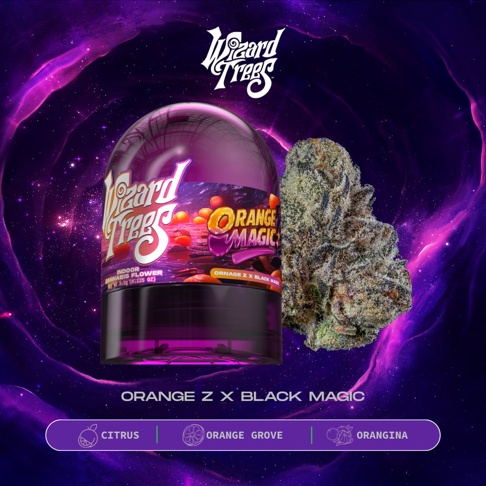 Orange Magic by Wizard Trees