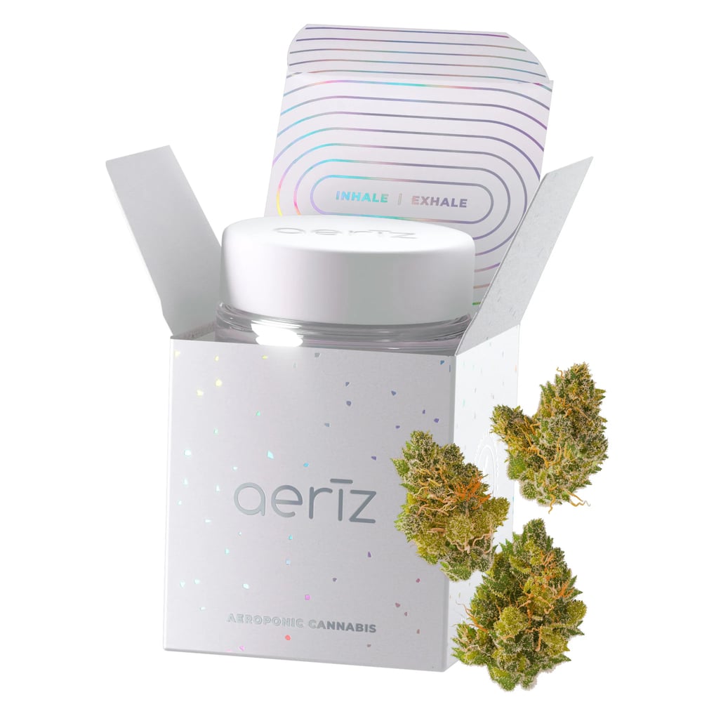 GMO OZ by Aeriz