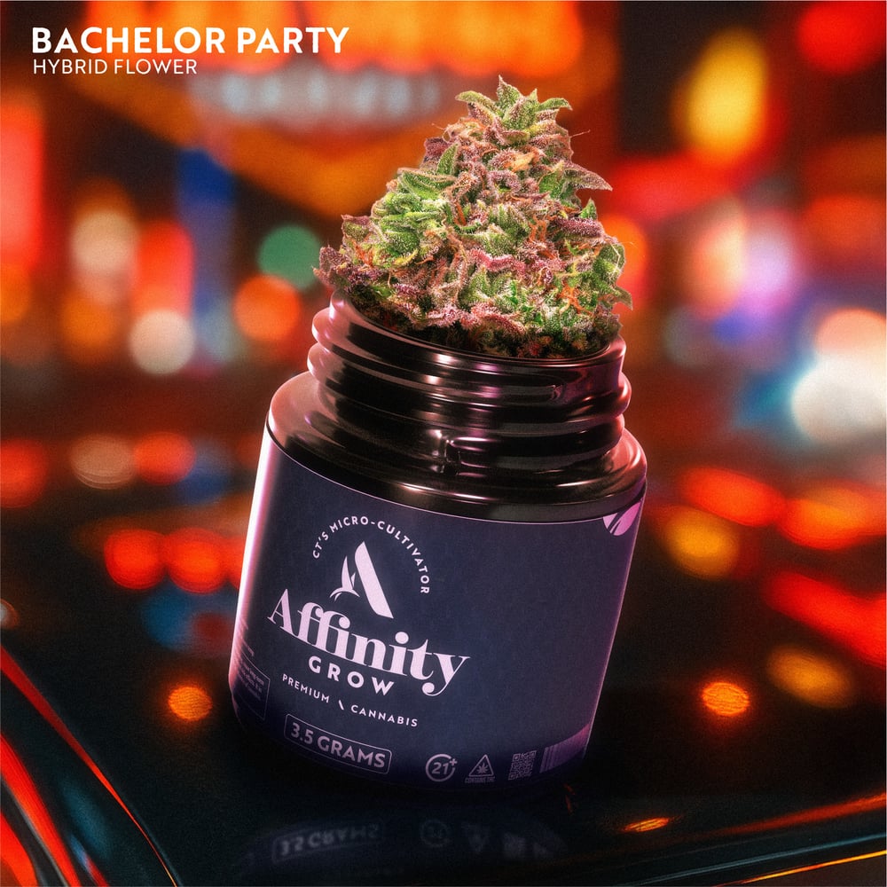 Bachelor Party Flower T22.37% H 00469 by Affinity Grow