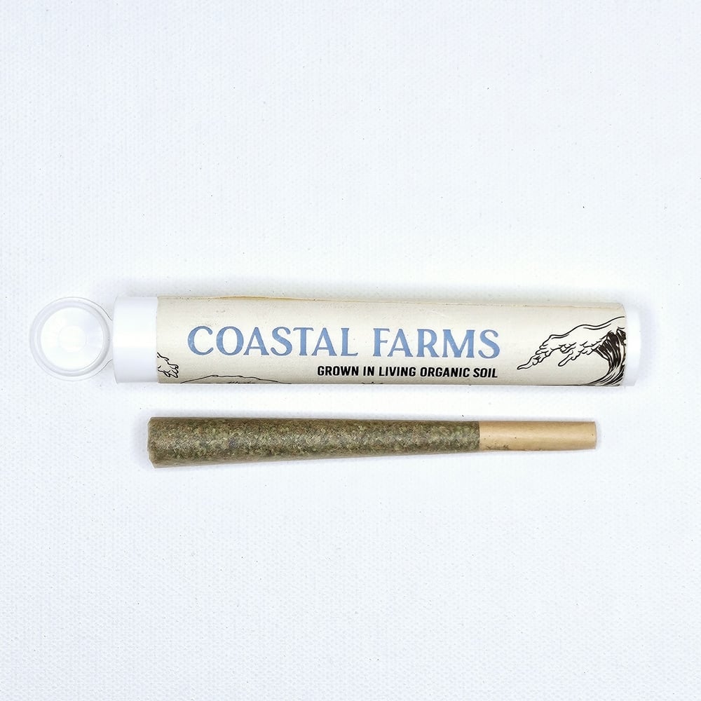 Vanilla Frosting [1g] by Coastal Farms