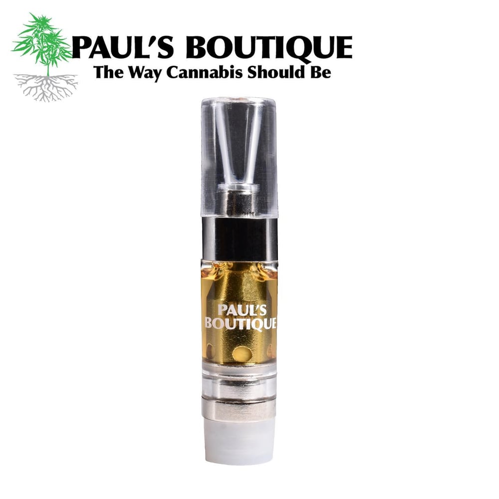 Kandy Rain by Paul's Boutique